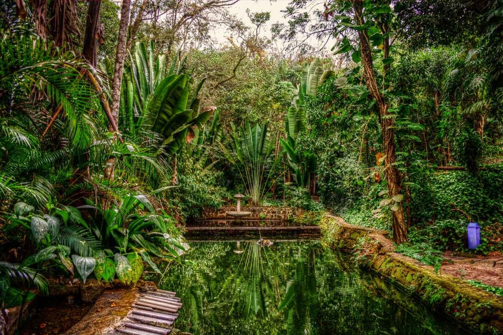 Bosque Municipal ()