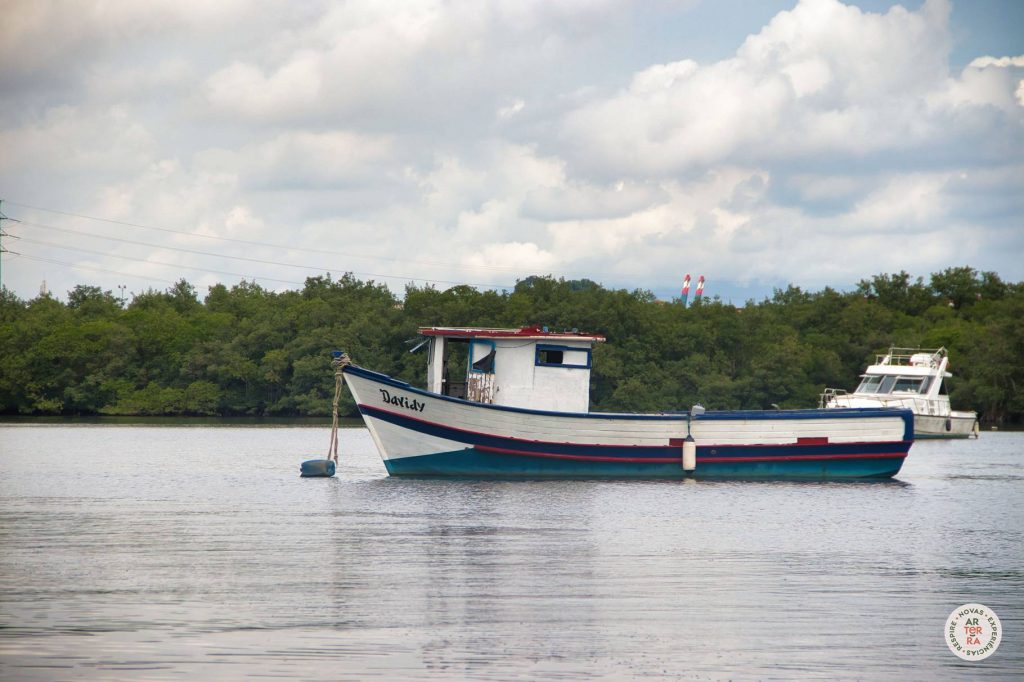 Ilha Diana: Vivência Caiçara e Tour em Santos