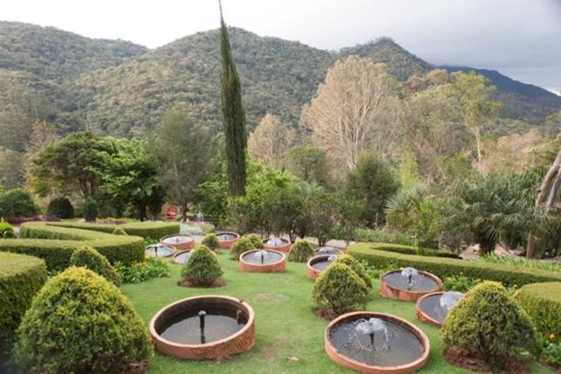 Santo Antônio do Pinhal e Jardim dos Pinhais