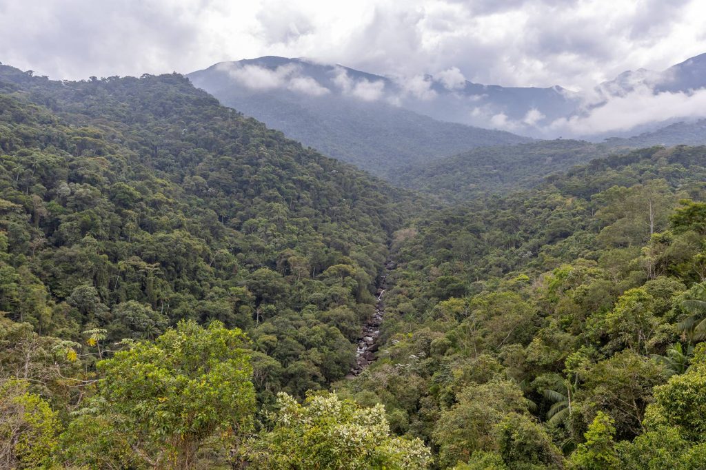 Penedo